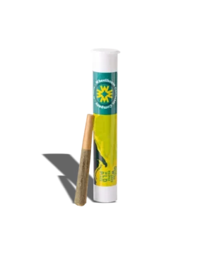 Motor Breath X Motor Breath Live Resin Infused Preroll 1g